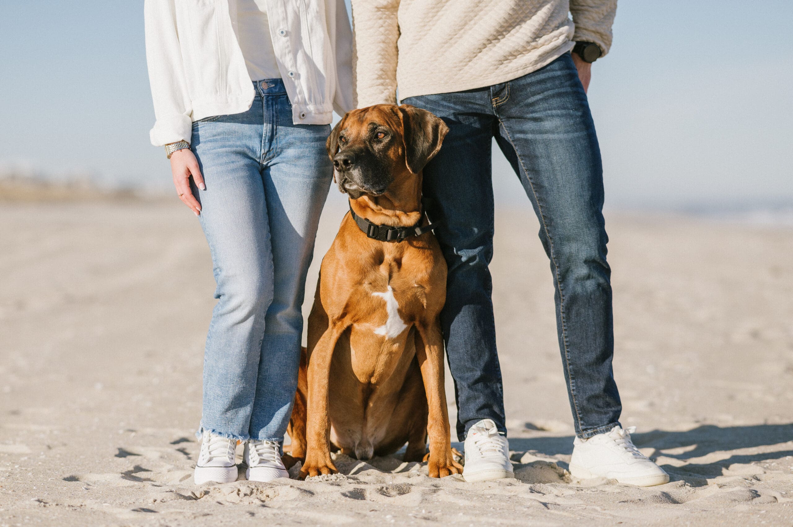 close up of couple with a dog between their legs